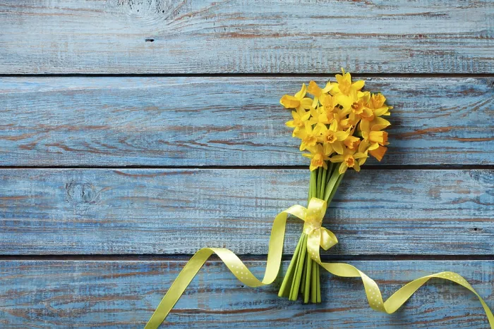 Framed Print : Spring Daffodil Print on Blue Rustic Background Framed Print : Spring Daffodil Print on Blue Rustic Background