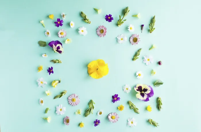 Framed Print : Minimalistic Spring Flowers Print Framed Print : Minimalistic Spring Flowers Print