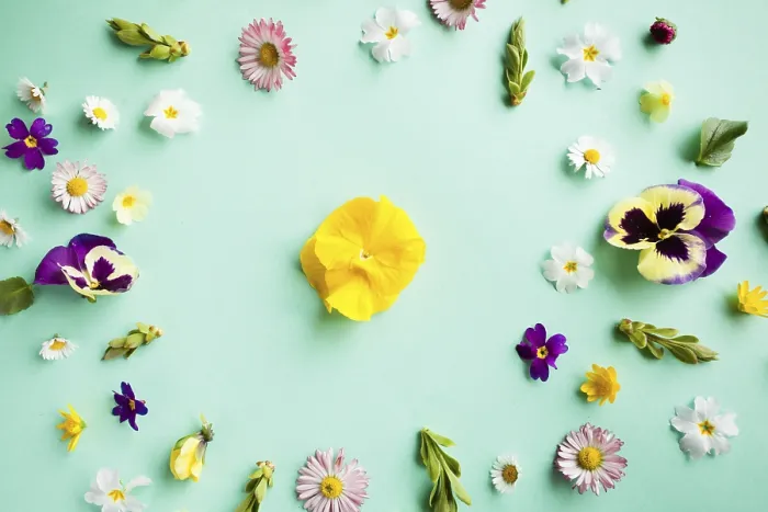 Framed Print : Minimalistic Spring Flowers Print Framed Print : Minimalistic Spring Flowers Print