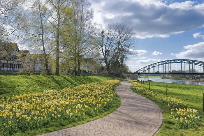 Framed Print : Spring Flowers Along Weser Cycle Path Print, Rinteln Germany Framed Print : Spring Flowers Along Weser Cycle Path Print, Rinteln Germany