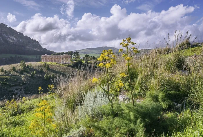 Framed Print : Spring Landscape with Temple of Segesta Print, Sicily, Italy Framed Print : Spring Landscape with Temple of Segesta Print, Sicily, Italy