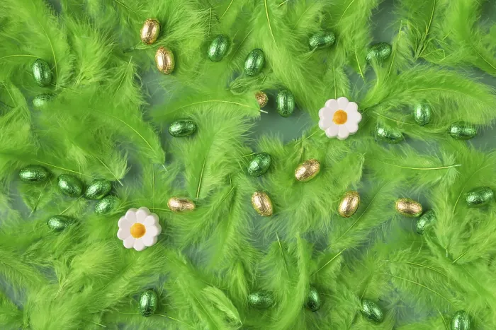 Framed Print : Spring Print with Green Feathers and Chocolate Eggs Framed Print : Spring Print with Green Feathers and Chocolate Eggs