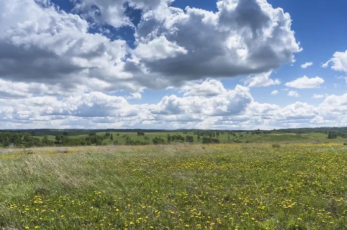 Framed Print : Spring Meadow Print with Floating Clouds