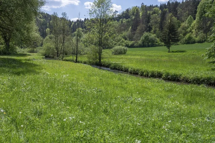 Framed Print : Spring Meadow Print with River Course in AuseBtal, Bavaria