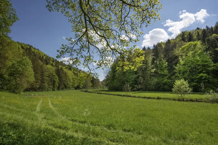 Framed Print : Spring Meadow Print with River Course in Ausetal, Bavaria Framed Print : Spring Meadow Print with River Course in Ausetal, Bavaria