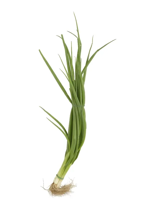 Framed Print : Spring Onion Studio Print against White Background Framed Print : Spring Onion Studio Print against White Background