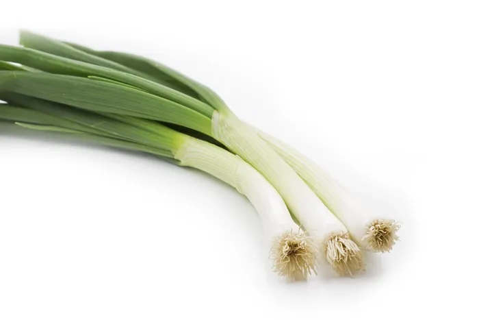Framed Print : Spring Onions Print Framed Print : Spring Onions Print