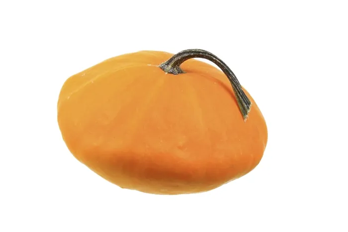 Framed Print : Squash, 'Patisson' variety Print Framed Print : Squash, 'Patisson' variety Print