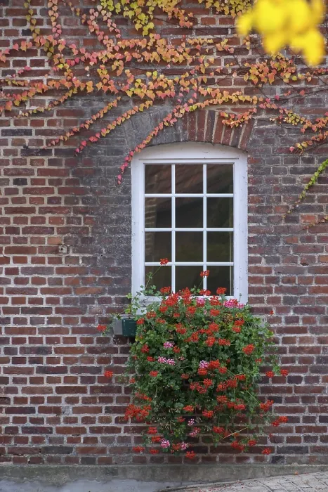 Framed Print : Stable Window Print from imageBROKER Framed Print : Stable Window Print from imageBROKER