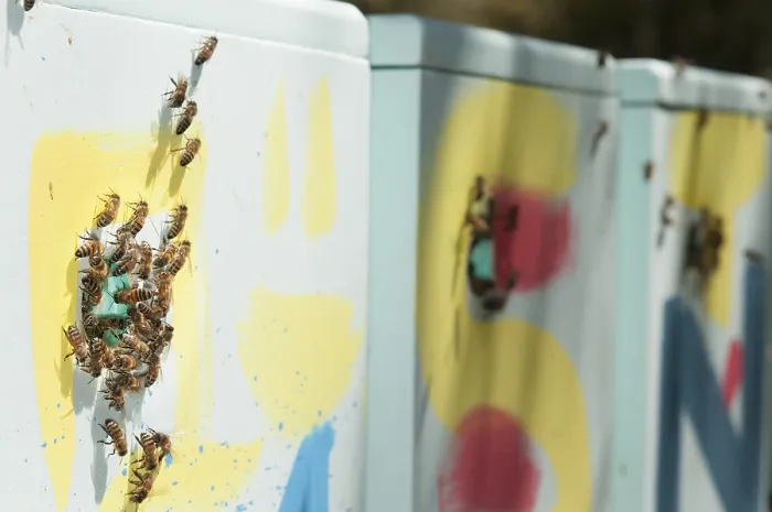 Framed Print : Colorful Beehive Print in Polystyrene Framed Print : Colorful Beehive Print in Polystyrene