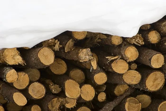 Framed Print : Stack of Firewood in Snow Print, Graubuenden, Switzerland Framed Print : Stack of Firewood in Snow Print, Graubuenden, Switzerland