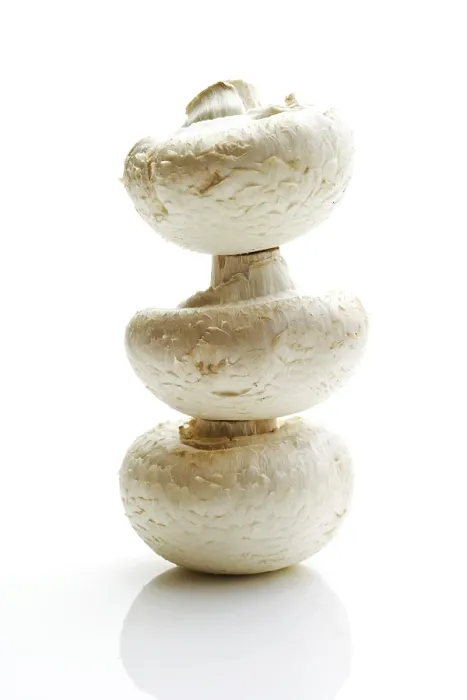 Framed Print : Stacked Button Mushrooms Print Framed Print : Stacked Button Mushrooms Print