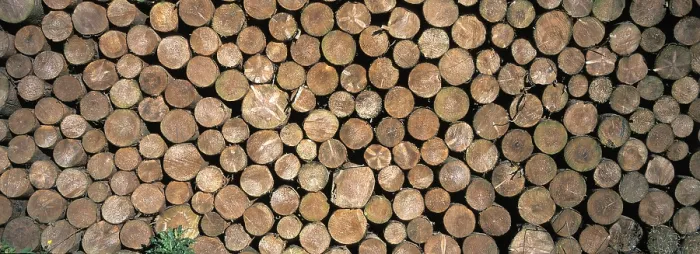 Framed Print : Stacked Logs Print Framed Print : Stacked Logs Print