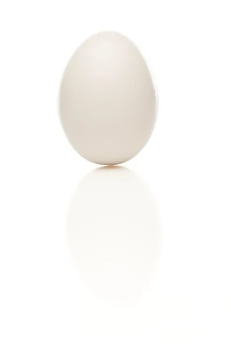 Framed Print : Standing White Egg Print Framed Print : Standing White Egg Print