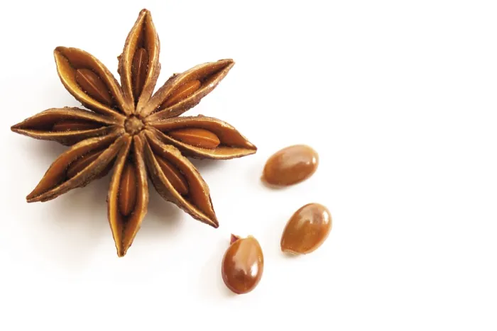 Framed Print : Star Anise Print - Aromatic Spice Flower Framed Print : Star Anise Print - Aromatic Spice Flower