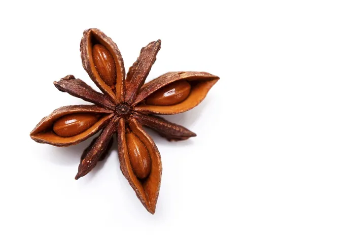Framed Print : Star Anise Print - Aromatic Spice Framed Print : Star Anise Print - Aromatic Spice