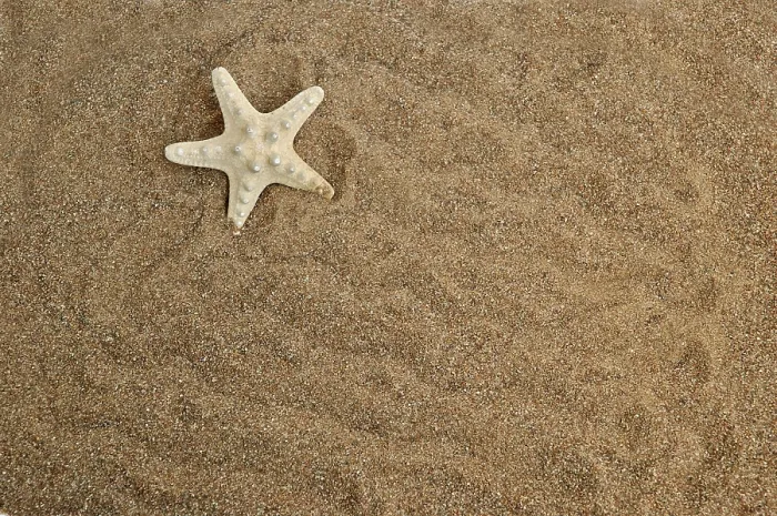 Framed Print : Starfish Print on Sandy Background Framed Print : Starfish Print on Sandy Background