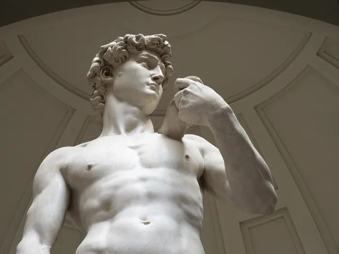 Framed Print : Print of Michelangelo's Statue of David, Galleria dell'Accademia