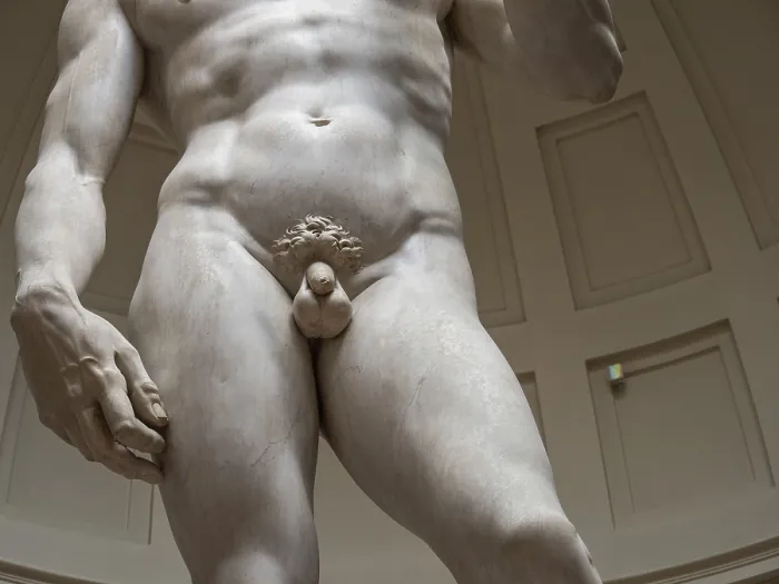 Framed Print : Michelangelo's Statue of David Print, Galleria dell'Accademia Framed Print : Michelangelo's Statue of David Print, Galleria dell'Accademia