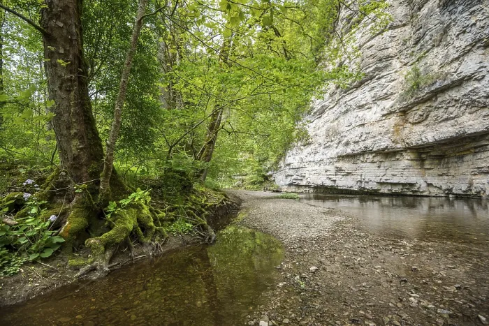 Framed Print : Wutach Gorge Steep Cliffs Print, Germany Framed Print : Wutach Gorge Steep Cliffs Print, Germany