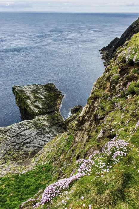 Framed Print : The Steep Cliffs of Sumburgh Head Print Framed Print : The Steep Cliffs of Sumburgh Head Print