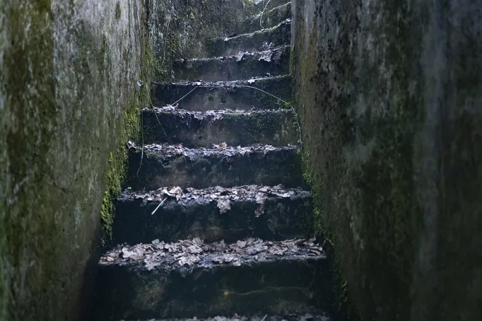 Framed Print : Steps up from the Cheneux bunker Print, Ardennes Offensive Framed Print : Steps up from the Cheneux bunker Print, Ardennes Offensive