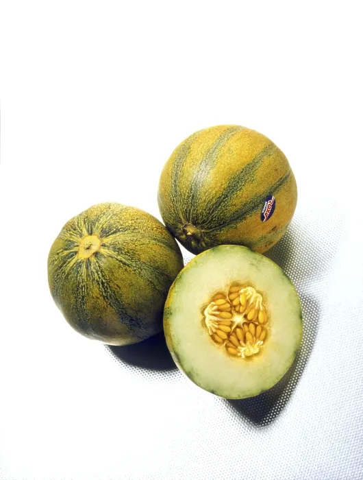 Framed Print : Still Life with Melons Print Framed Print : Still Life with Melons Print