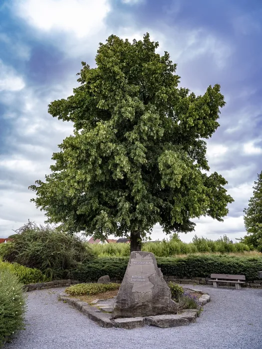 Framed Print : Stone under a Tree at the Geometric Centre of Germany Print Framed Print : Stone under a Tree at the Geometric Centre of Germany Print