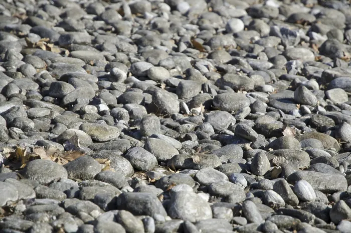 Framed Print : Stones on the Beach Print by ImageBROKER Framed Print : Stones on the Beach Print by ImageBROKER