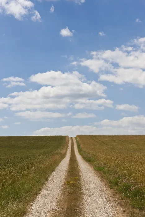 Framed Print : Straight Dirt Road Print Through Fields Framed Print : Straight Dirt Road Print Through Fields
