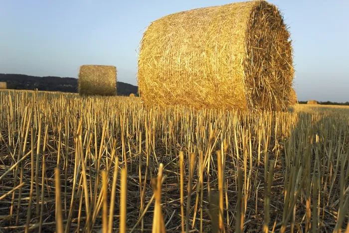 Framed Print : Straw Bales Print - Rural Landscape Framed Print : Straw Bales Print - Rural Landscape