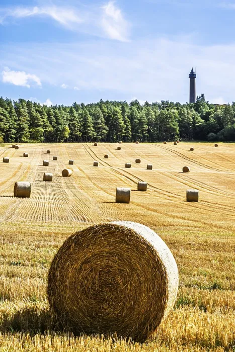 Framed Print : Straw Bales in Scottish Fields Print, Southeast Scotland, UK Framed Print : Straw Bales in Scottish Fields Print, Southeast Scotland, UK