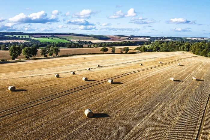 Framed Print : Southeast Scottish Fields Print Framed Print : Southeast Scottish Fields Print