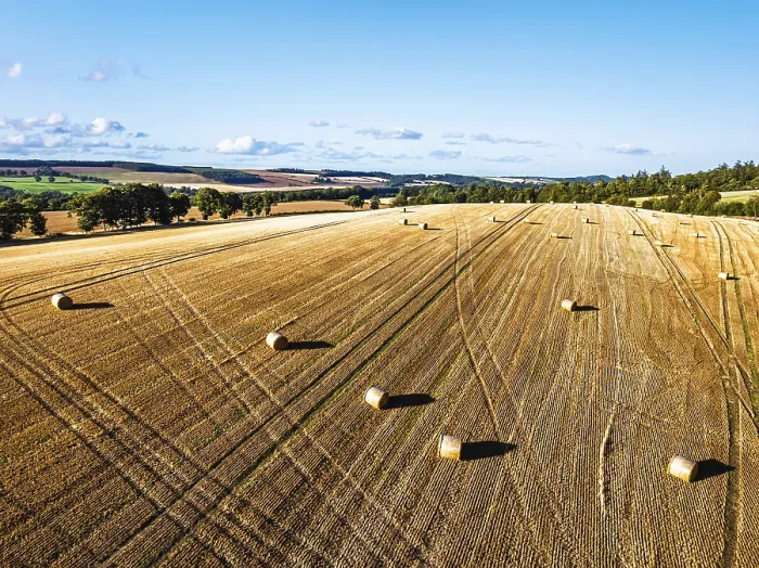 Framed Print : Straw Bales in Scottish Fields Print, Southeast Scotland, UK Framed Print : Straw Bales in Scottish Fields Print, Southeast Scotland, UK
