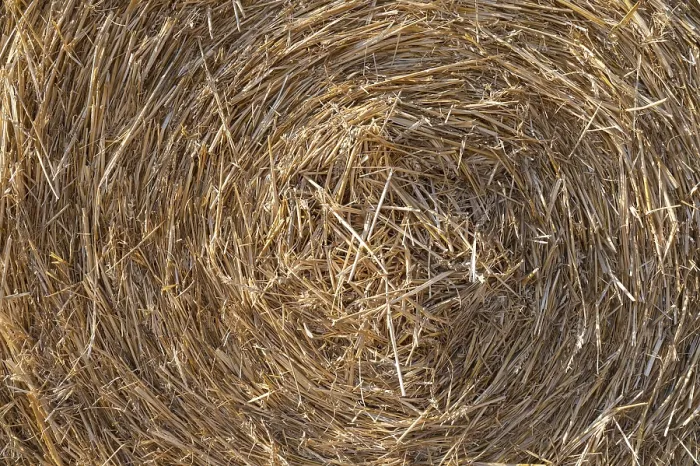 Framed Print : Straw Bales Print, Thuringia, Germany Framed Print : Straw Bales Print, Thuringia, Germany
