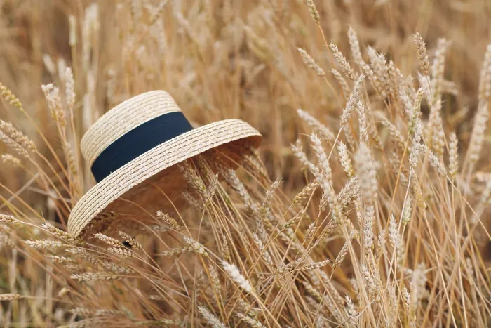 Framed Print : Straw Hat in Wheat Field Print