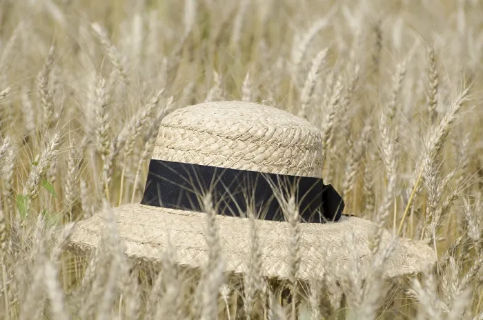 Framed Print : Vincent van Gogh Print - Straw Hat on the Wheat Field Framed Print : Vincent van Gogh Print - Straw Hat on the Wheat Field