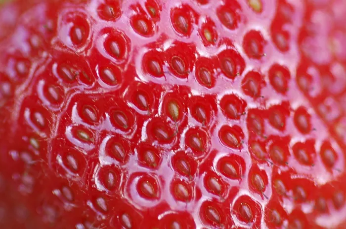 Framed Print : Strawberry Print in Detail Framed Print : Strawberry Print in Detail