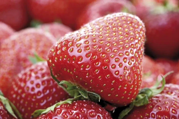 Framed Print : Strawberries Print by imageBROKER Framed Print : Strawberries Print by imageBROKER