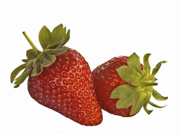 Framed Print : Two Strawberries Print Framed Print : Two Strawberries Print