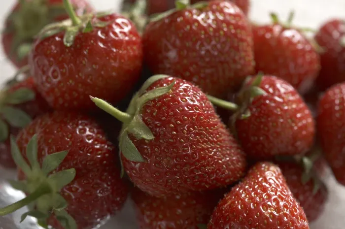 Framed Print : Strawberries Print by ImageBROKER Framed Print : Strawberries Print by ImageBROKER
