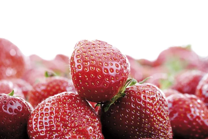 Framed Print : Strawberries Print by imageBROKER Framed Print : Strawberries Print by imageBROKER
