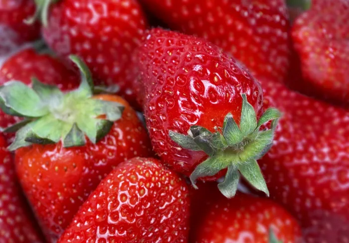 Framed Print : Strawberry Print by ImageBROKER Framed Print : Strawberry Print by ImageBROKER