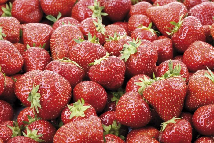 Framed Print : Strawberry Print, Full-Frame Framed Print : Strawberry Print, Full-Frame