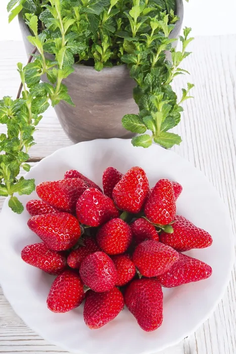 Framed Print : Strawberries and Mints Print