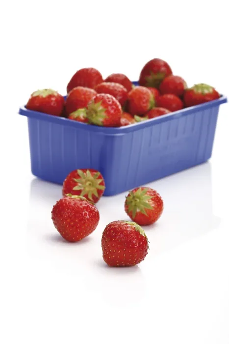 Framed Print : Strawberries in a Plastic Box Print Framed Print : Strawberries in a Plastic Box Print
