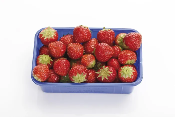 Framed Print : Strawberries in a Plastic Box Print Framed Print : Strawberries in a Plastic Box Print