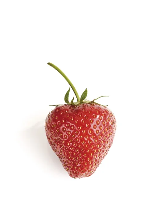Framed Print : Strawberry Print by ImageBROKER Framed Print : Strawberry Print by ImageBROKER