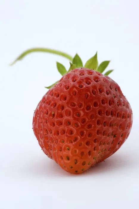 Framed Print : Strawberry Print by ImageBROKER Framed Print : Strawberry Print by ImageBROKER