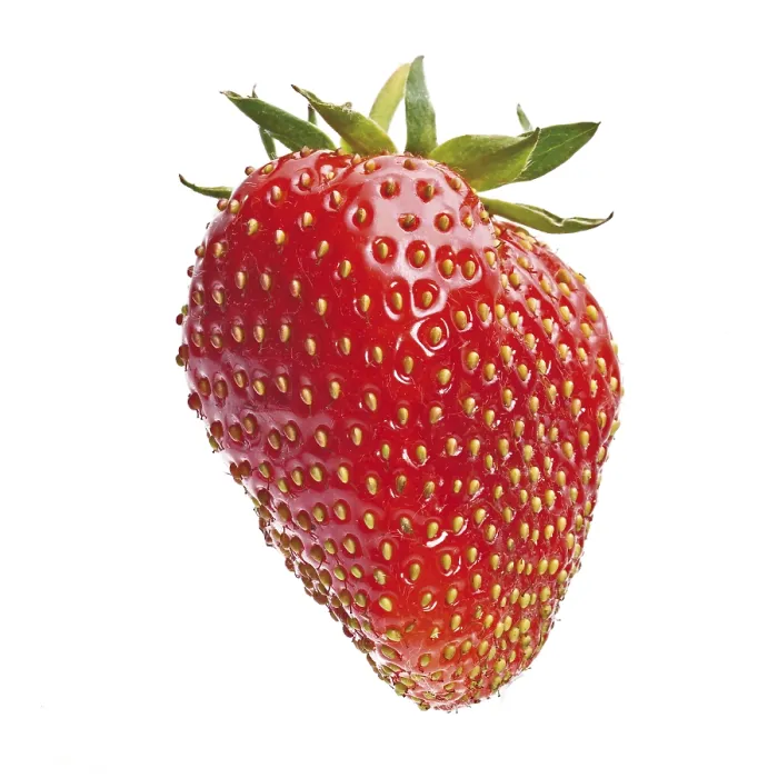Framed Print : Strawberry Print by ImageBROKER Framed Print : Strawberry Print by ImageBROKER